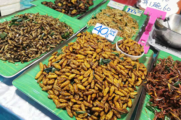 PATTAYA FLOATING MARKET1