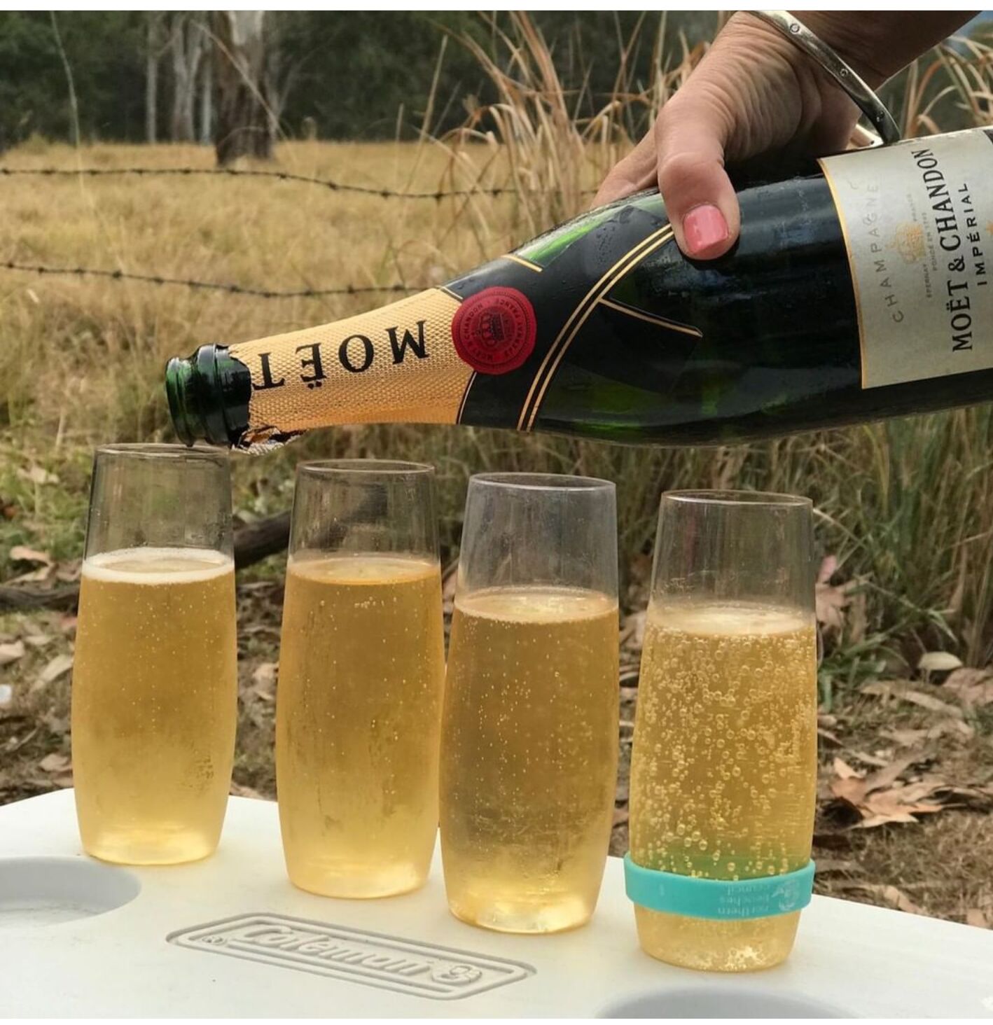 champagne flutes (14)