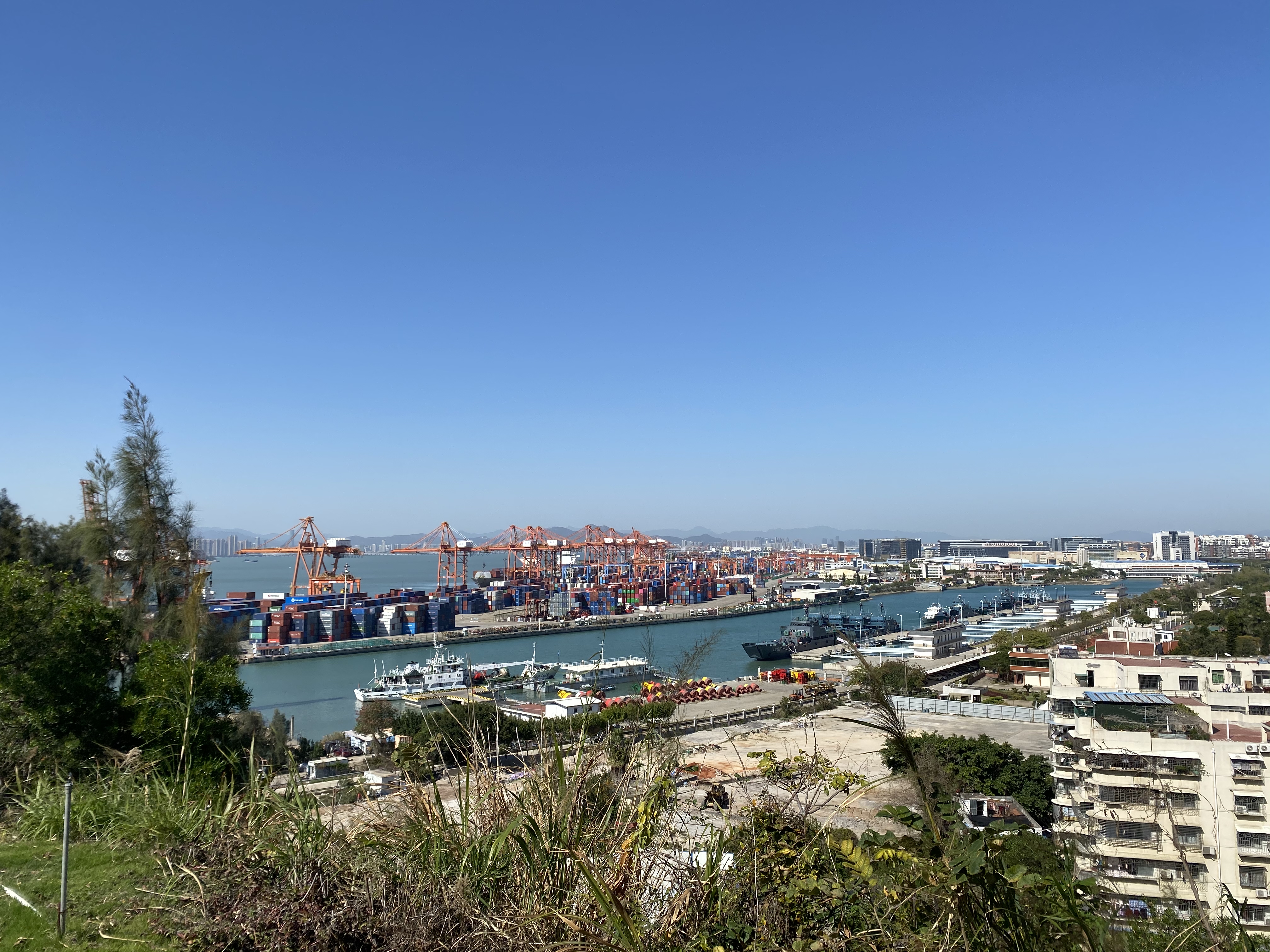 mmexport1646905518256