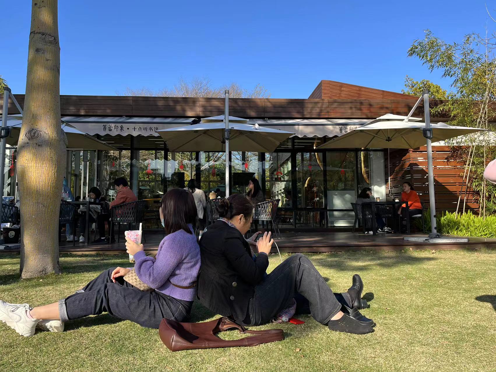 mmexport1646905581108